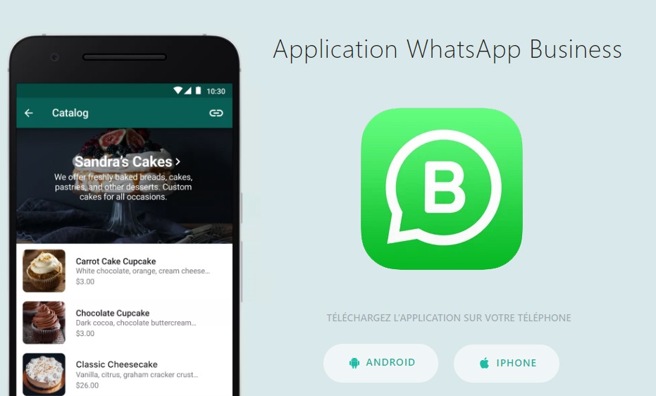 Télécharger GB WhatsApp Pro
