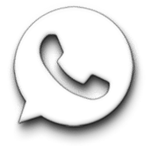 Télécharger GB WhatsApp Pro
